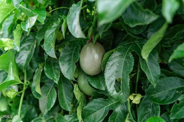 1215 Anchors Way 13, Ventura, CA 93001