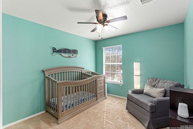 16115 Branching Oaks, San Antonio, TX 78247