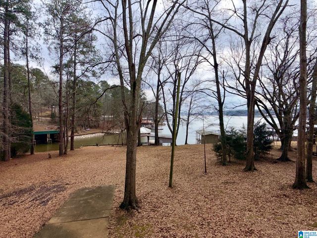 2504 RABBIT BRANCH ROAD, Cropwell, AL 35054