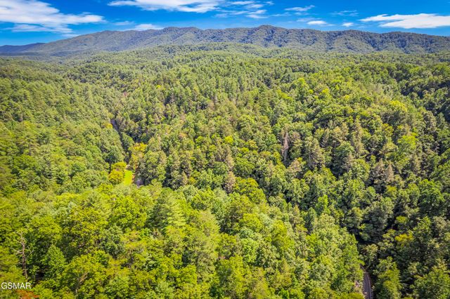 4081 Henry Town Road, Sevierville, TN 37876