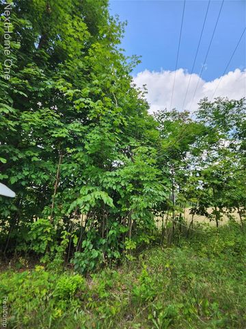 00 Musson Road, Howell, MI 48855