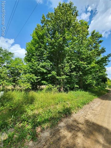 00 Musson Road, Howell, MI 48855