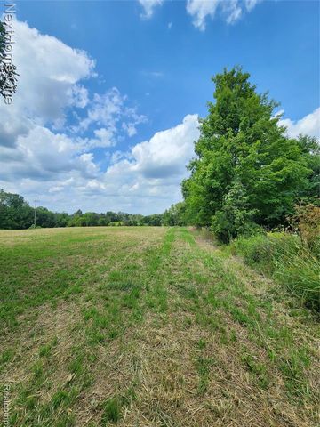 00 Musson Road, Howell, MI 48855