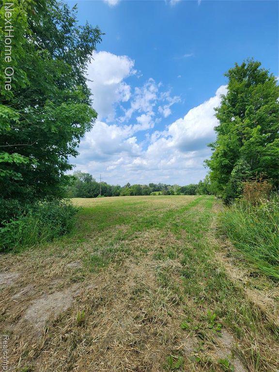 00 Musson Road, Howell, MI 48855