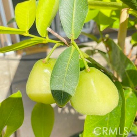 7908 Zona Court, Riverside, CA 92507