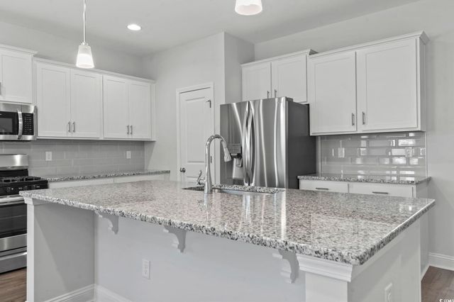 225 Astoria Park Loop, Conway, SC 29526