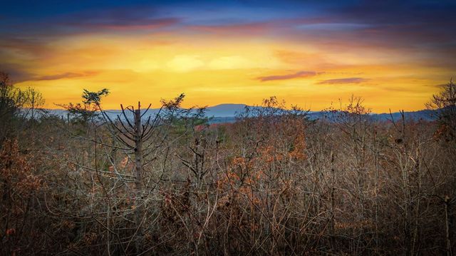 313 Spruce Circle, Mineral Bluff, GA 30559