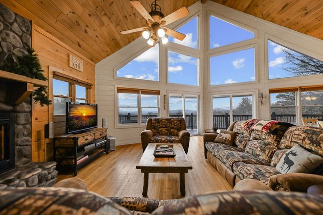 313 Spruce Circle, Mineral Bluff, GA 30559