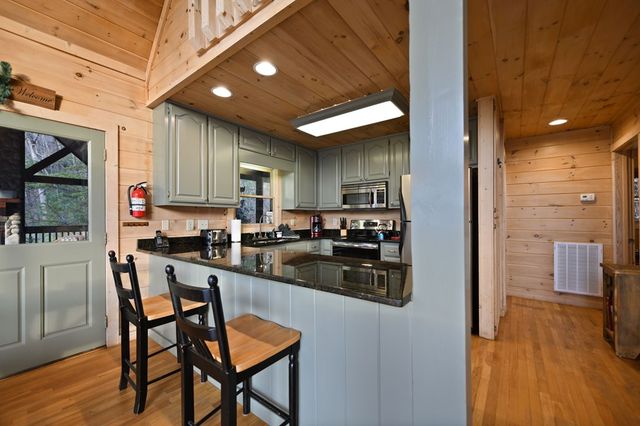 313 Spruce Circle, Mineral Bluff, GA 30559