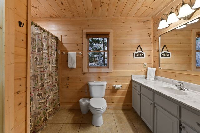 313 Spruce Circle, Mineral Bluff, GA 30559