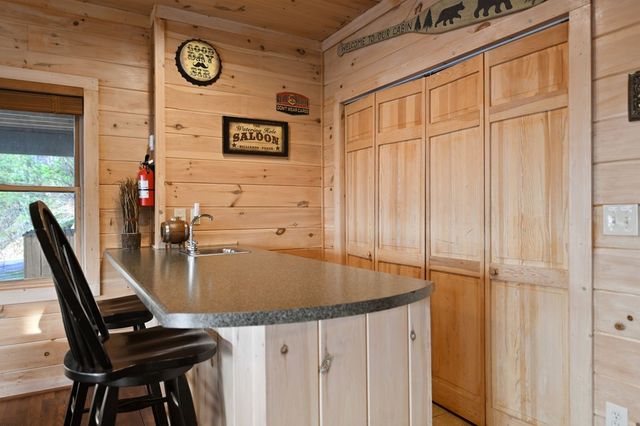 313 Spruce Circle, Mineral Bluff, GA 30559