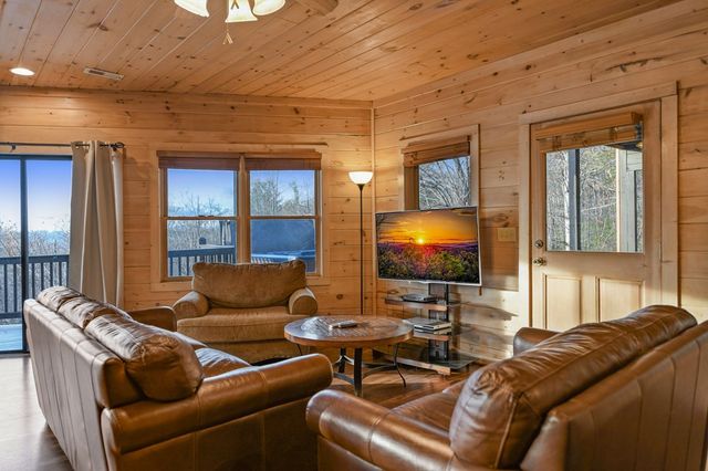 313 Spruce Circle, Mineral Bluff, GA 30559