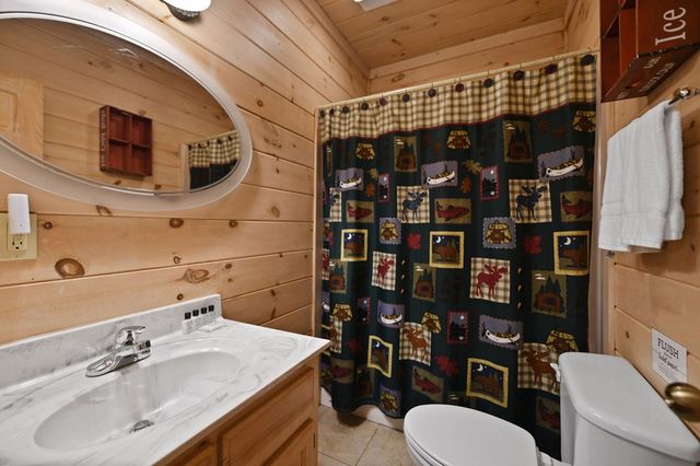 313 Spruce Circle, Mineral Bluff, GA 30559