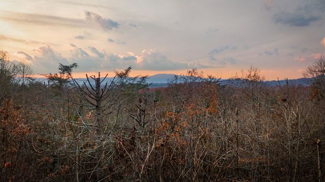 313 Spruce Circle, Mineral Bluff, GA 30559