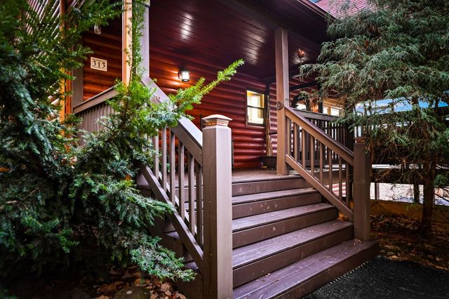 313 Spruce Circle, Mineral Bluff, GA 30559