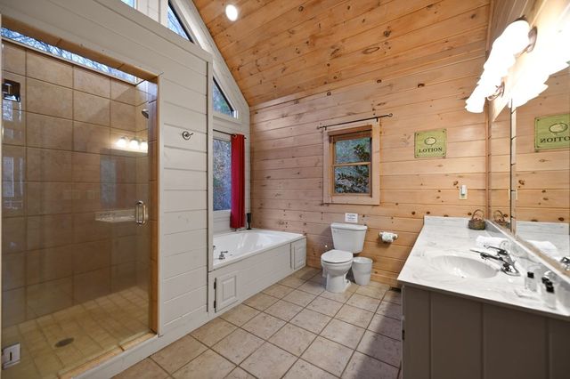 313 Spruce Circle, Mineral Bluff, GA 30559