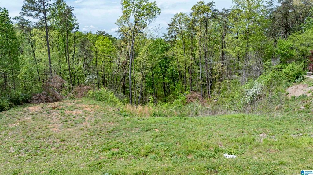 832 MOUNTAINVIEW DRIVE, Gardendale, AL 35071