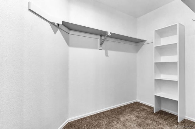 5996 S Jellison Street C, Littleton, CO 80123