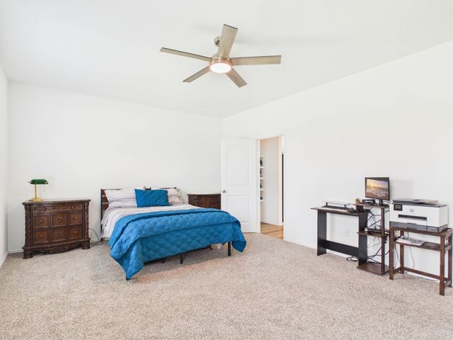 21318 Mountain Ash Drive, New Caney, TX 77357