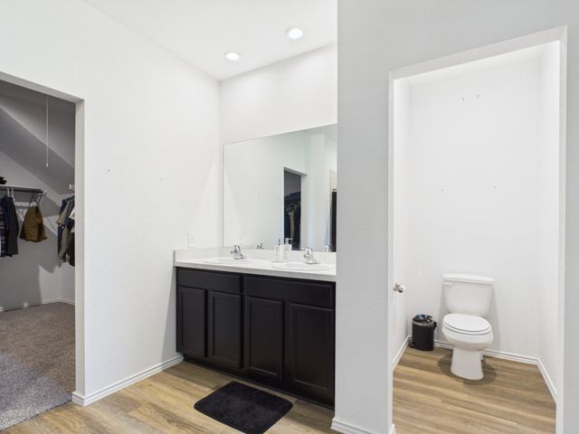 21318 Mountain Ash Drive, New Caney, TX 77357