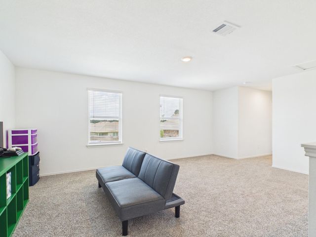 21318 Mountain Ash Drive, New Caney, TX 77357