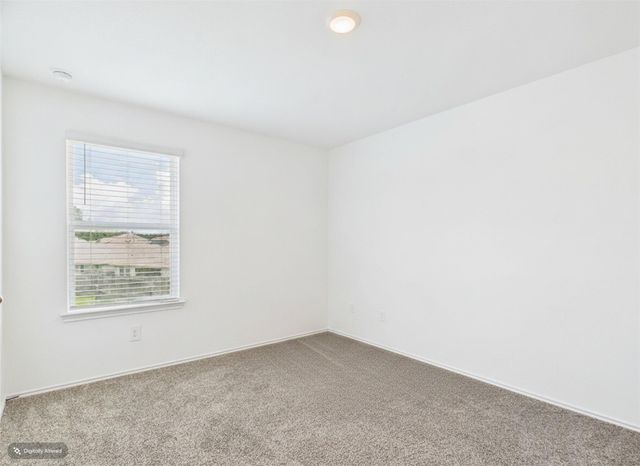 21318 Mountain Ash Drive, New Caney, TX 77357
