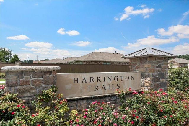 21318 Mountain Ash Drive, New Caney, TX 77357