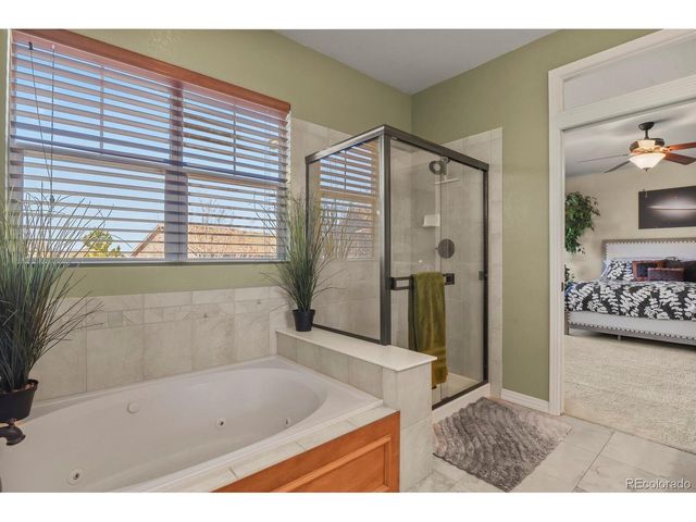 2325 Ridgetrail Dr, Castle Rock, CO 80104