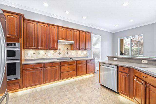 3628 VALENCIA COVE COURT, Land O Lakes, FL 34639