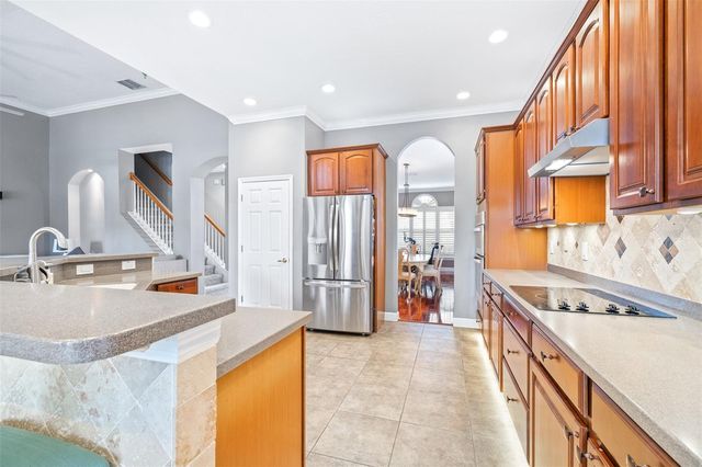 3628 VALENCIA COVE COURT, Land O Lakes, FL 34639