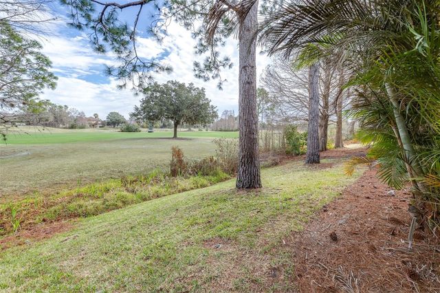 3628 VALENCIA COVE COURT, Land O Lakes, FL 34639