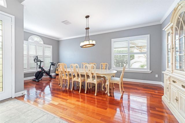 3628 VALENCIA COVE COURT, Land O Lakes, FL 34639