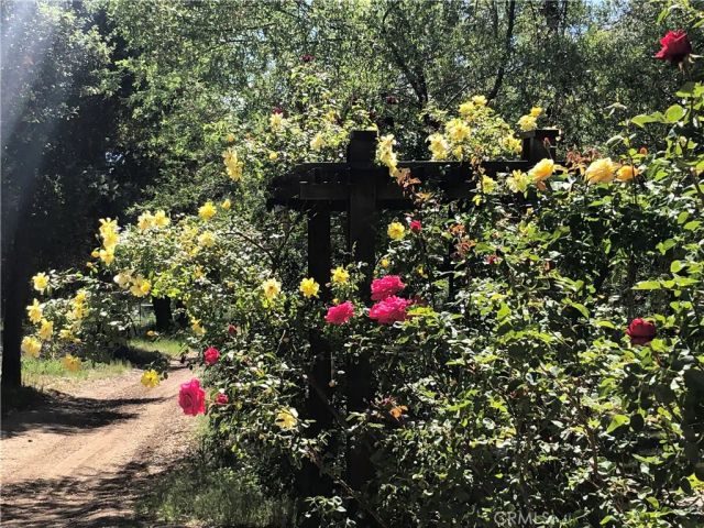 29972 Chihuahua Valley Road, Warner Springs, CA 92086