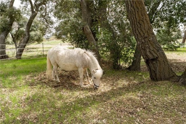 29972 Chihuahua Valley Road, Warner Springs, CA 92086