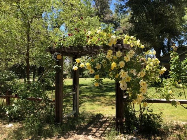 29972 Chihuahua Valley Road, Warner Springs, CA 92086