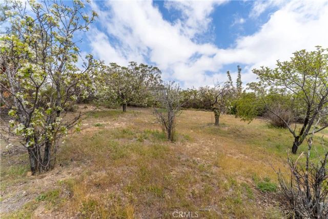 29972 Chihuahua Valley Road, Warner Springs, CA 92086