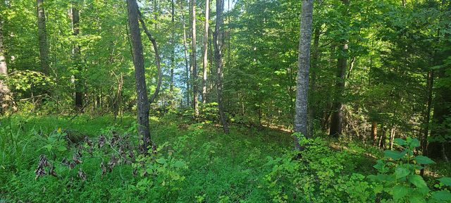Lot 14 Hickory PL, Hardy, VA 24101