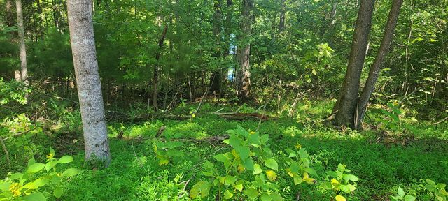Lot 14 Hickory PL, Hardy, VA 24101
