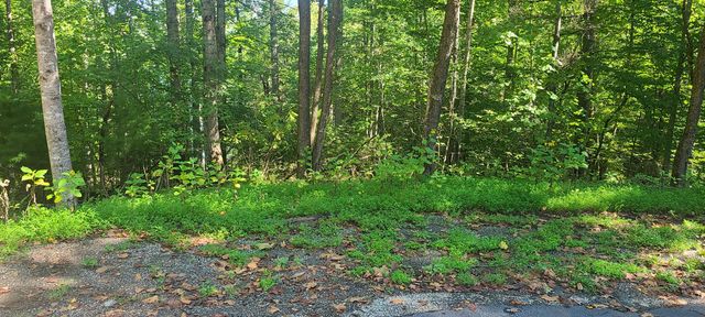 Lot 14 Hickory PL, Hardy, VA 24101