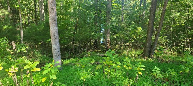 Lot 14 Hickory PL, Hardy, VA 24101