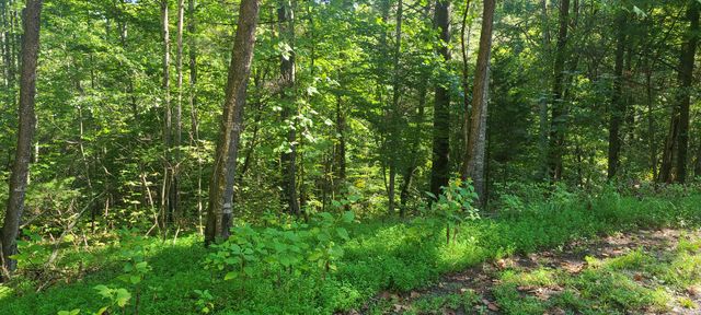 Lot 14 Hickory PL, Hardy, VA 24101