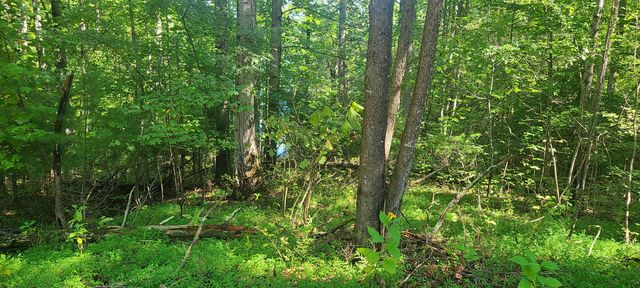 Lot 14 Hickory PL, Hardy, VA 24101