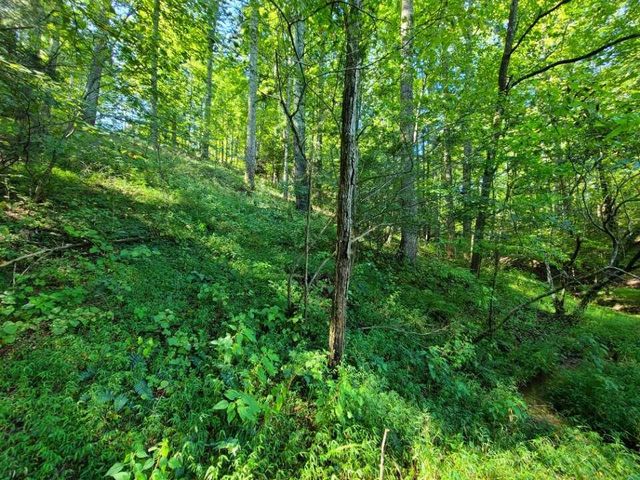 Lot 14 Hickory PL, Hardy, VA 24101