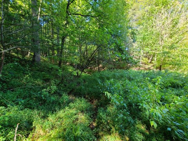 Lot 14 Hickory PL, Hardy, VA 24101