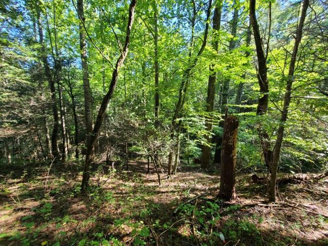 Lot 14 Hickory PL, Hardy, VA 24101