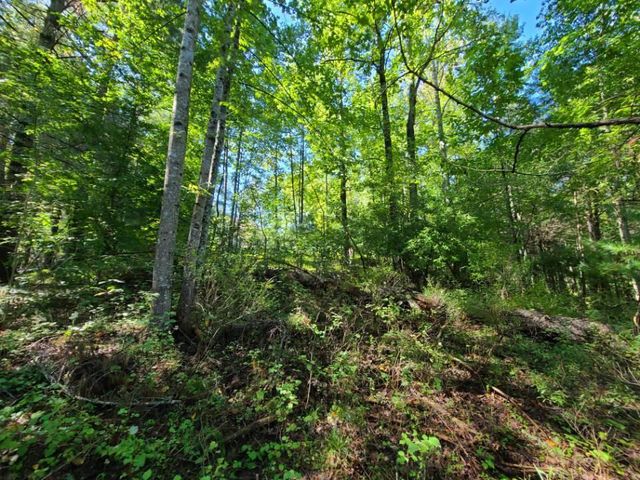 Lot 14 Hickory PL, Hardy, VA 24101
