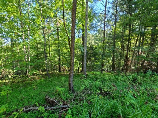 Lot 14 Hickory PL, Hardy, VA 24101