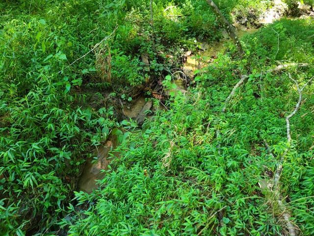 Lot 14 Hickory PL, Hardy, VA 24101