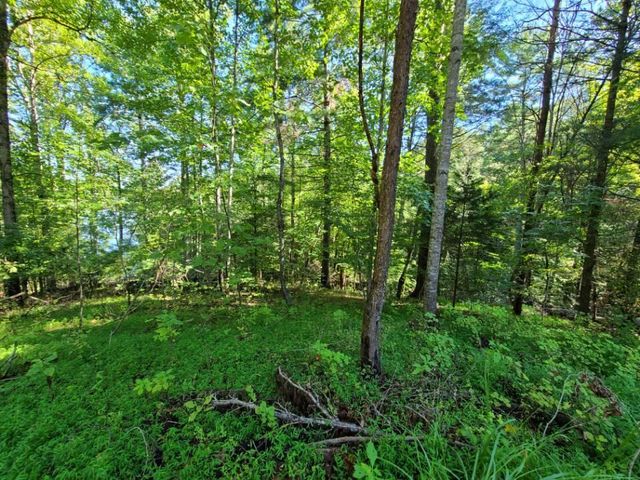 Lot 14 Hickory PL, Hardy, VA 24101