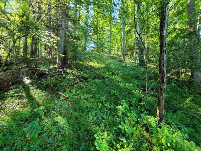 Lot 14 Hickory PL, Hardy, VA 24101